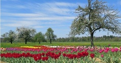 Aprilnews